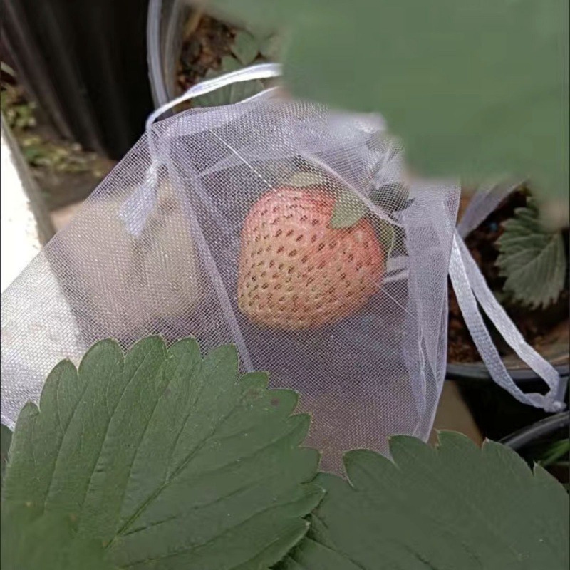 fruit Bag Pest control Fruit Bird protect Strawberry Bag Bag tomato Blueberry Bagging Dedicated Pest control Bag