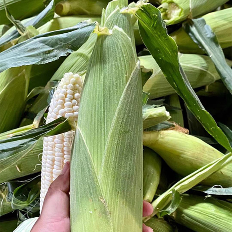 c82d555ecc18633168fb9292dfdc70