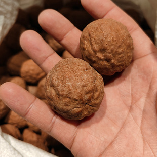 �����������������������ɢ��ɢ�������ְѼ������䌦��������