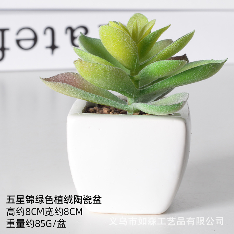 Simulación de cerámica bonsai de carne doméstica decoración de escritorio de oficina plantación verde maceta props de disparo maceta combinada artificial image 45