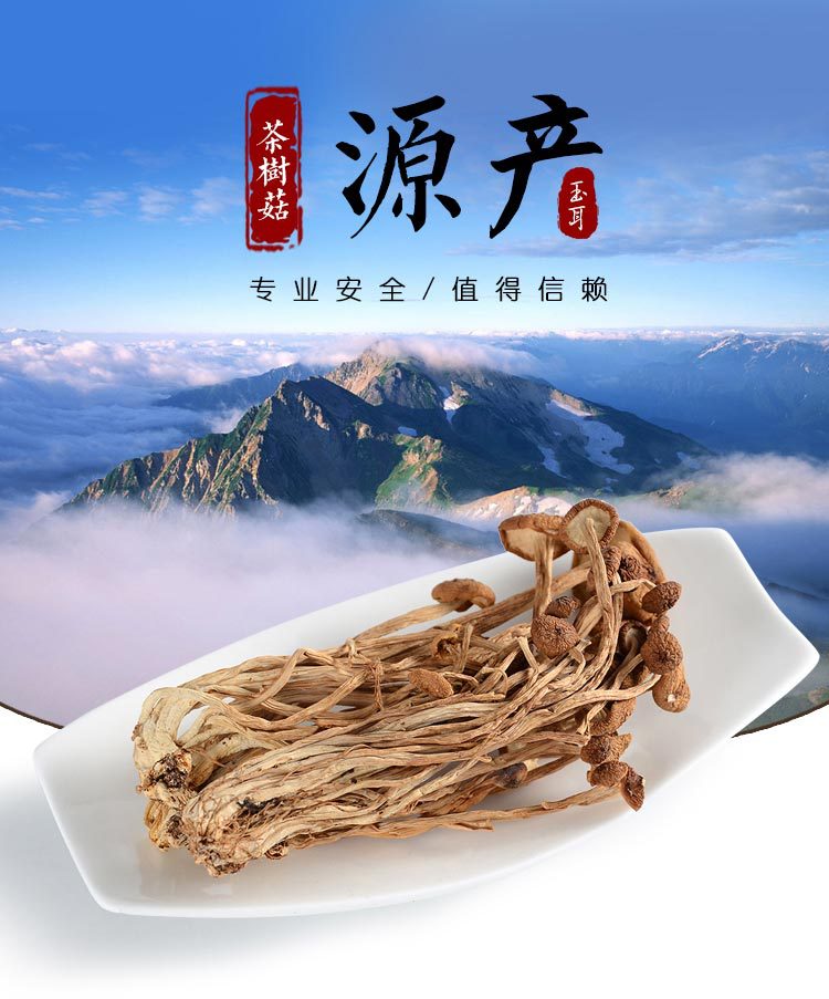 玉耳內(nèi)頁(yè)1.1_08