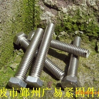 316 外六角螺栓 不锈钢螺栓  内六角螺栓 304不锈钢螺栓