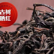 �Ř�t��  ���S�������|  ���������m���� ���Ηl���o�Y ɫ�ɾG