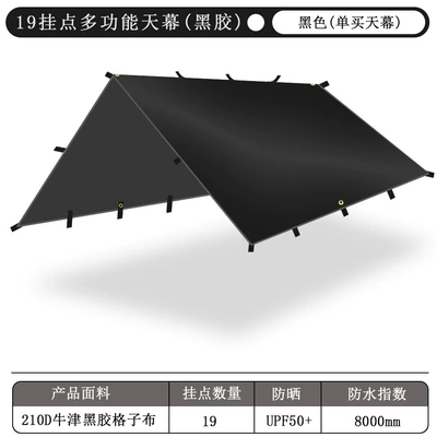 Protection Portable Multi-Point: Avtomobil yan çətirləri - black-glue-19-hanging-point-black-sky-curtain-outer-bag-no-accessories-3x3m