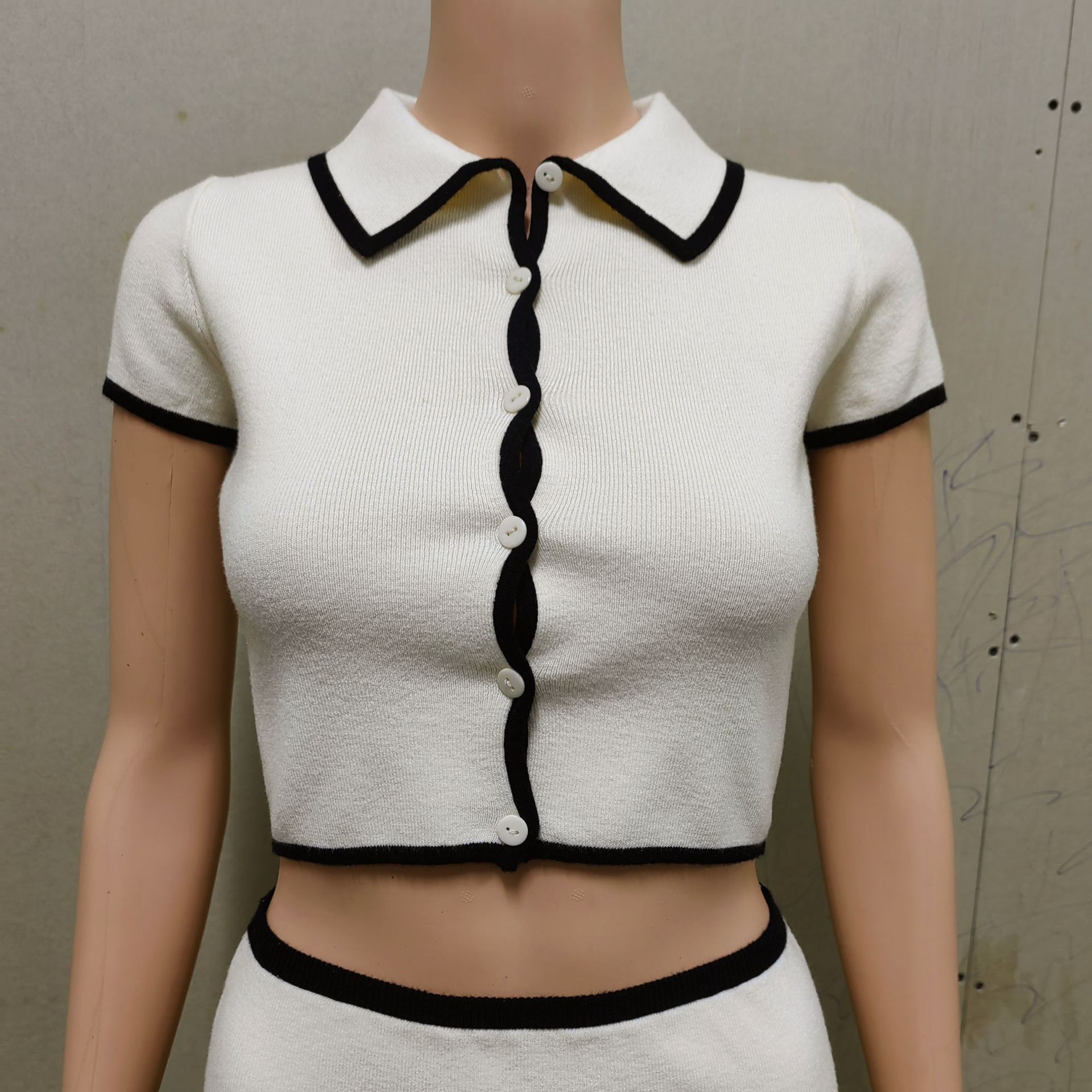 Daily, Date Occasion Daily Date Women's Elegant Color Block Polyester Contrast Binding Skirt Co-ord Set Pants Sets
