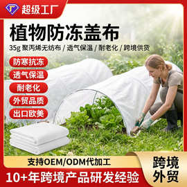 跨境亚马逊秋冬季植物防霜防冻植物覆盖白色30g无纺布植物盖毯