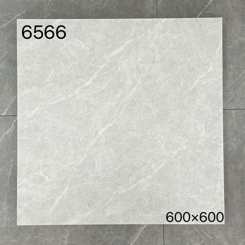 6566