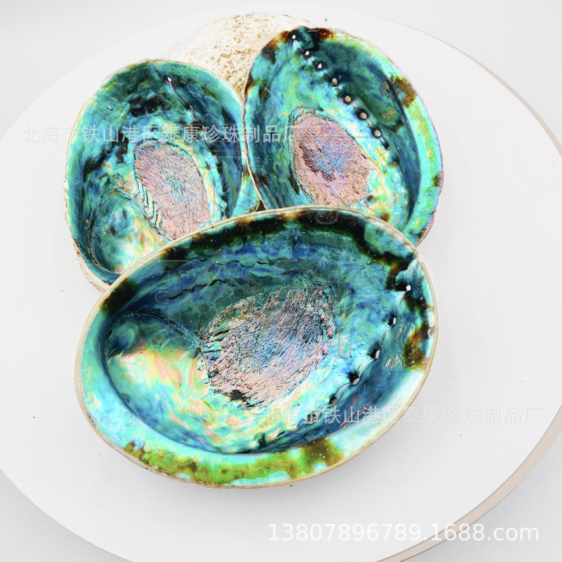 IMG_0189 （已编辑）新西兰黑金鲍鱼壳3.jpg