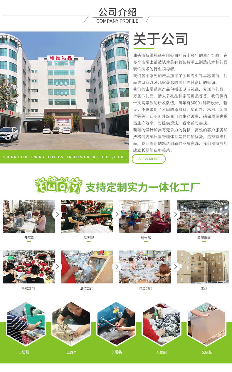 特维公司介绍
