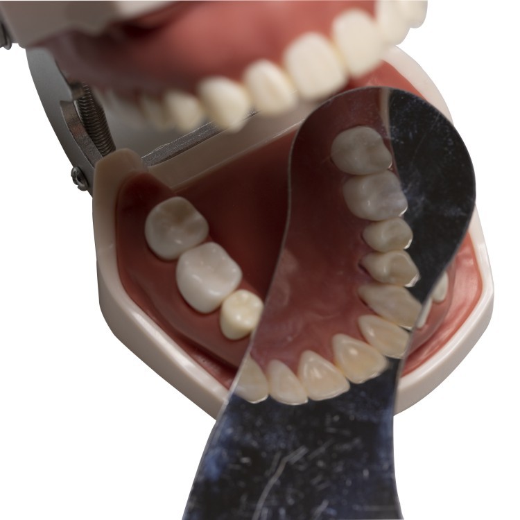 Reflector dental de acero inoxidable para fotografía ortodóntica, reflector intraoral para fotografía, cuatro piezas profesionales