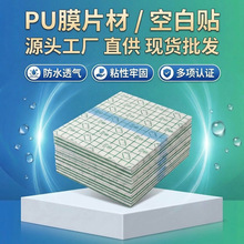 puĤ�հ��N������͸Ƥ�հ��N�̶������NѨλ�̶��NĤ͸��ϴ��y��