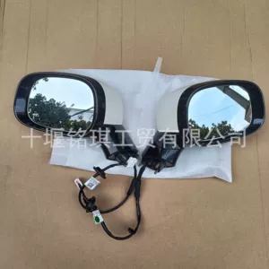 Dongfeng Nano 01 üçün arxa görüntü güzgüsü yan dönmə siqnalı R50007483J R50007463J