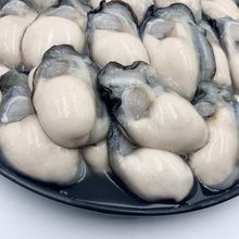 【高品质】新鲜生蚝肉鲜活现剥去壳海鲜即食原浆海蛎子牡蛎肉包邮