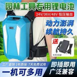 21V园林工具电动钣手锂电锯大容量50Ah绿篱修剪机便捷式背包电池