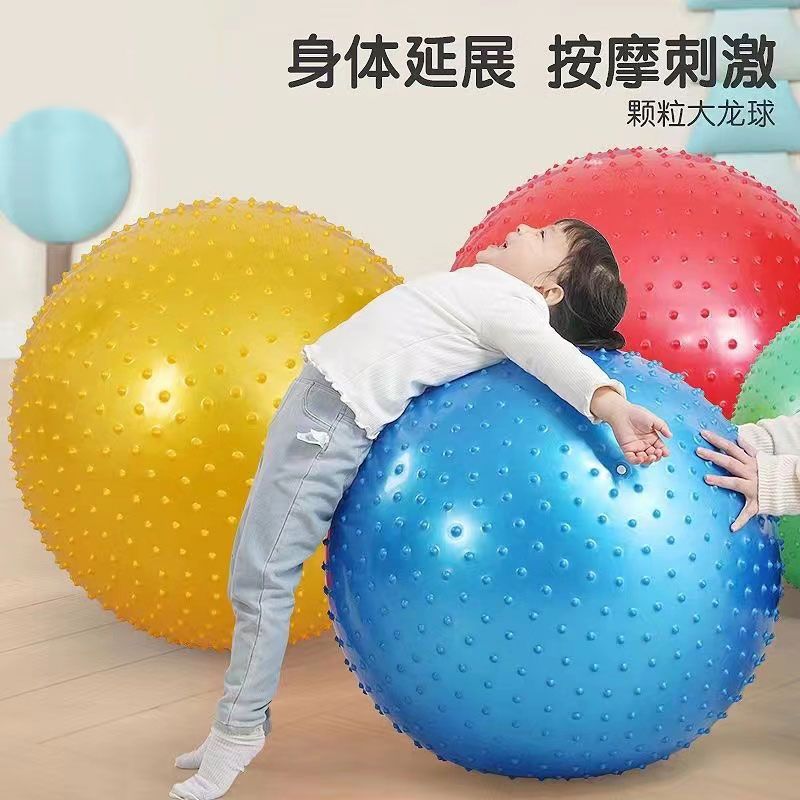 瑜伽球加厚成人防爆健身球儿童感统训练大龙球初学者按摩运动大球|undefined