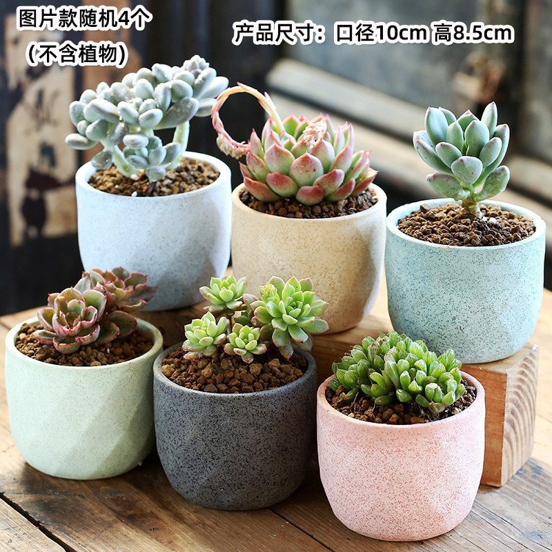 多肉花盆大量批发陶瓷植物粗陶复古素烧紫砂创意大小口径简约跨境|undefined