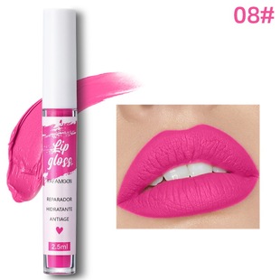 Single Cross-Border New Lip Gloss Non-Stick Cup Long-Lasting Matte Non-Fading Matte Velvet Lip Gloss Multi-Color Fafamoon