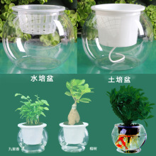 大号高透明花盆 金鱼缸水培绿植塑料容器 花盆大号食品级PET花瓶