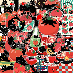 50������؈��PET͸����ͨ�N���b�DIY���~�֙C��ˮ����ɫ�b��N��