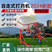 rʹșC¿ʽַrССr2024ș