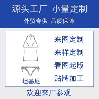 泓泽制衣泳衣定制小批量起订跨境坦基尼泳装OBMODM来图来样加工