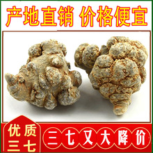 三七头正品20头30头25头文山纯天然特级超细春田七粉500g云南特产