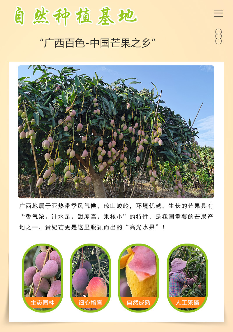 云南农副产品批发:多彩山野里的自然馈赠