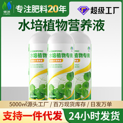 襟沃水培植物通用栄養液室内室外家庭用花卉緑植鉢植え改善硬直苗黄葉肥