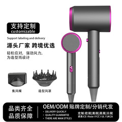 ネット赤クロスボーダー電気ブロー家庭用ヘアトリートハイパワーヘアドライヤーブルー寮ホテルブローメーカー卸売り