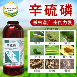 ��Ʒ40%�������޻��߲˹������x����x�����x���ϻ�ϓ󩚢�x��