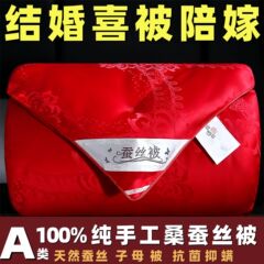 高級純粋な天然シルクキルト 100% 桑シルクキルトツーインワン春と秋のキルト冬のキルト綿増粘結婚式