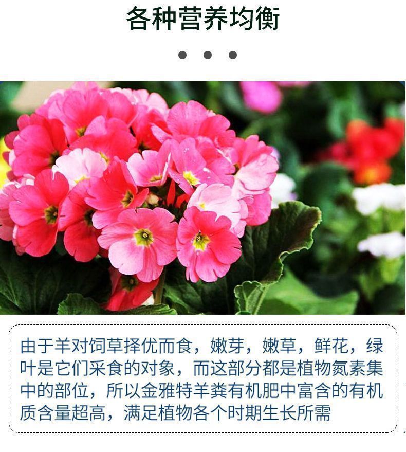 e6b14a9d-fd8a-4c2c-99b8-58c99b30f91f.jpe