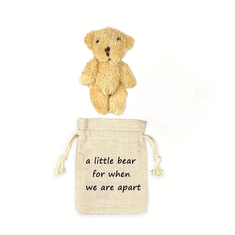 クロスボーダー新品ぬいぐるみミニベアミニポケット抱っこベアA worry bear|undefined