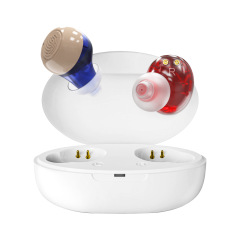 耳の中の卸売りは老人の耳の中の充電できる補聴器のアンプを加工します。