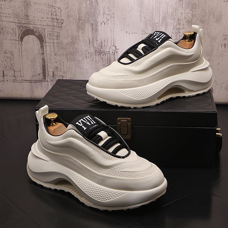 흰색과 검은 색