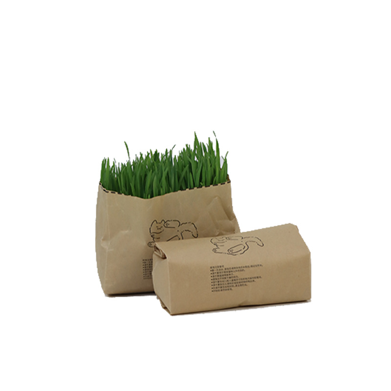 Nuevo producto pasto para gatos perezoso, trigo, cultivo sin suelo, bolsa de pasto para gatos, cabello para ayudar a la digestión, bocadillos para gatos, pasto para gatos al por mayor
