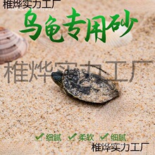 孵化乌龟草龟天然底砂产蛋鱼缸装饰造景砂子冬眠下蛋养殖沙河沙