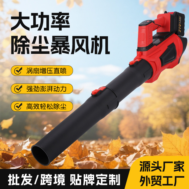 Cross-Border New Lithium Battery High-Power Blower Outdoor Dust Removal and Snow Removal Lithium Battery Hair Dryer Small Brushless Hair Dryer