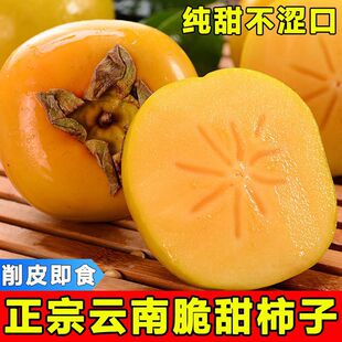 �ɿ������������rˮ�����Ӯ������ڱ������S��������������]