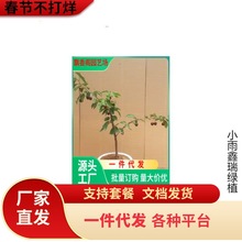 ܇ӘϷˮ籱NֲͥԺ{ݮ