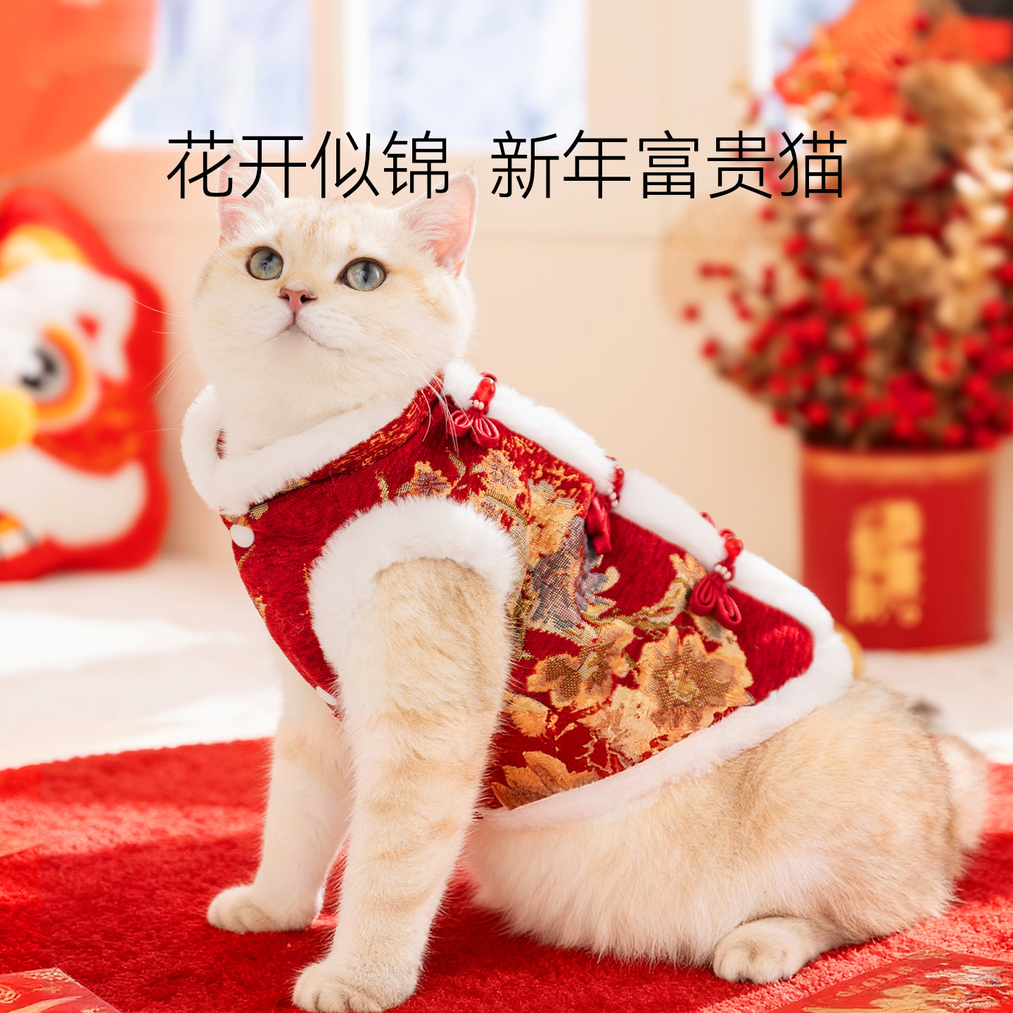 宠物新年唐装两脚小型犬比熊泰迪猫咪秋冬加绒两脚棉衣宠物狗服装