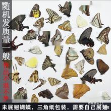 �����˱�������˱�δչ��3�Ǵ����b���ս̾��µ�ԭ��δչ�����