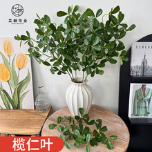 �����~ ����Gֲ�����b�����ֲ���������~�b��~���_ľ