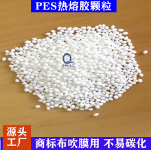 ������PPT�����z�����̘˲���Ĥ��PES�����z�w������ٸ��͸ߜ�