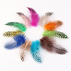 Spot supply of pearl feathers Yiwu feathers DIY feather manufacturer wholesale decorative feathers