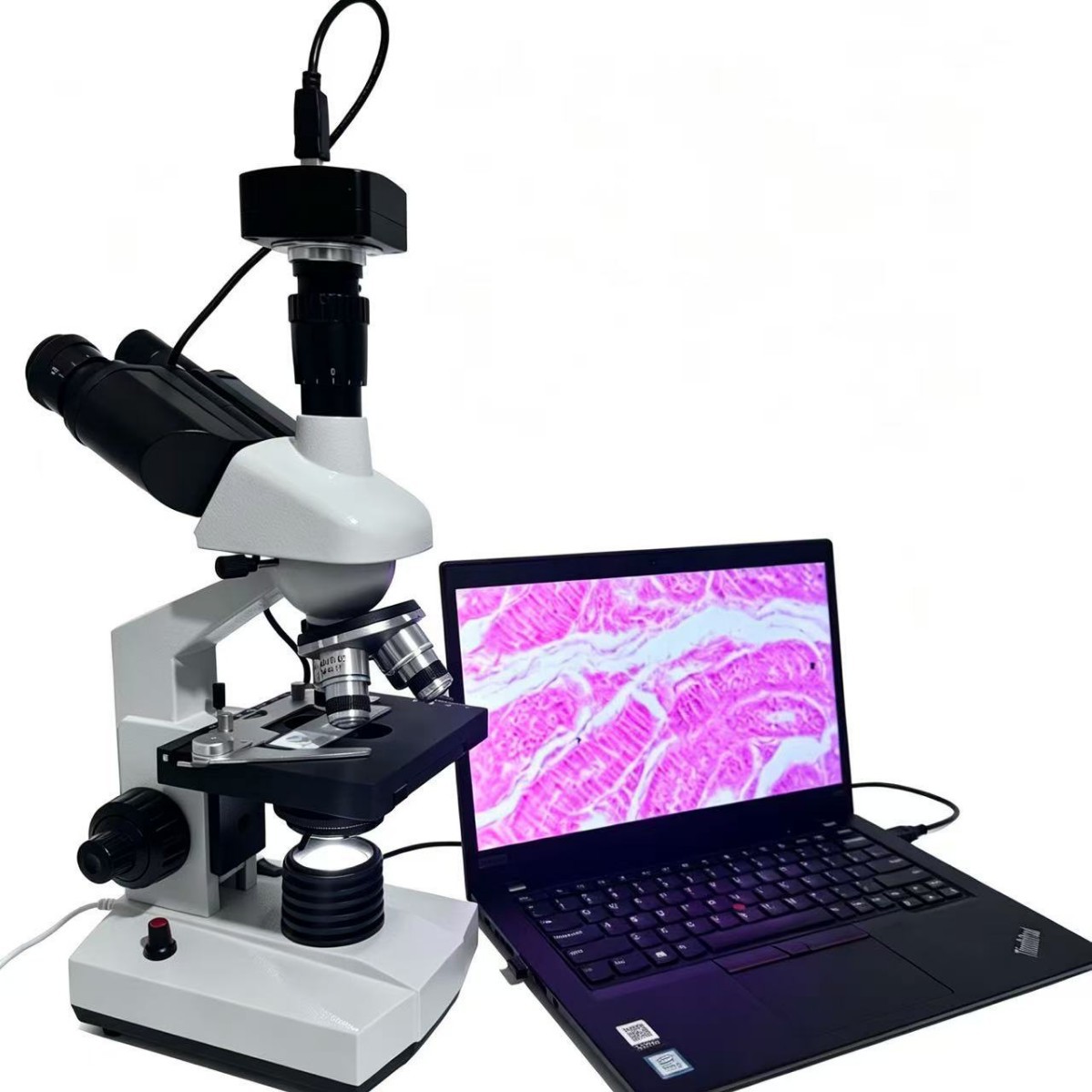 厂家批发三目生物实验室科研教学专用光学显微镜仪器检测带高清屏产品实拍图_仪器仪表货源实拍