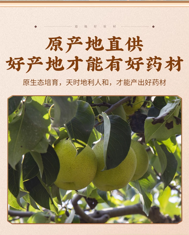 Dried Snow Pear Slices Xue Li Pi 500g Freeze Dried Fruit Tea Slices for Herbal Infusions and Cooking key features