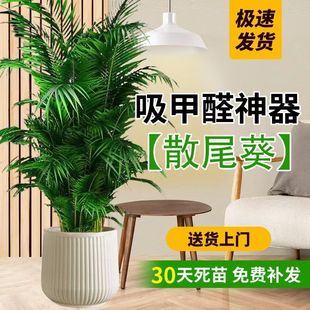 �W�t����FҬ���҃ȿ͏d�Gֲ��Ʒ�Pβ����͑��˳���ȩ�����՚�