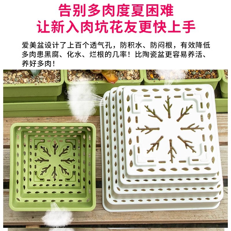 樹脂多肉植木鉢大口径小白角コンビネーション台座付きトレープラスチック通気植物専用根付き鉢|undefined