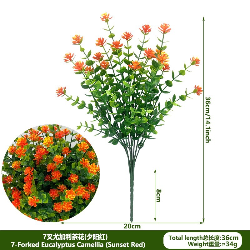 Camellia eucalyptus-1